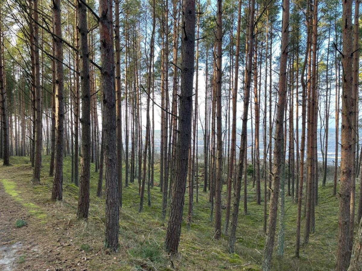 Wygodny Eko Domek Kolo Nadmorskiego Parku Krajobrazowego Karwienskie Bloto Drugie Exterior photo